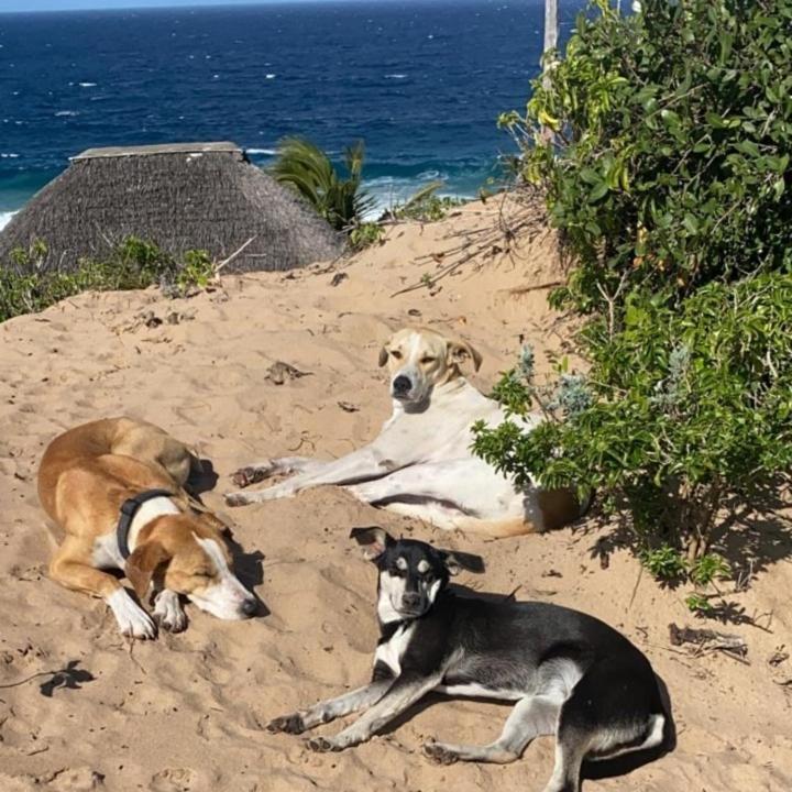 Mar-Me-Quer, Eco Beach Retreat Inhambane Luaran gambar