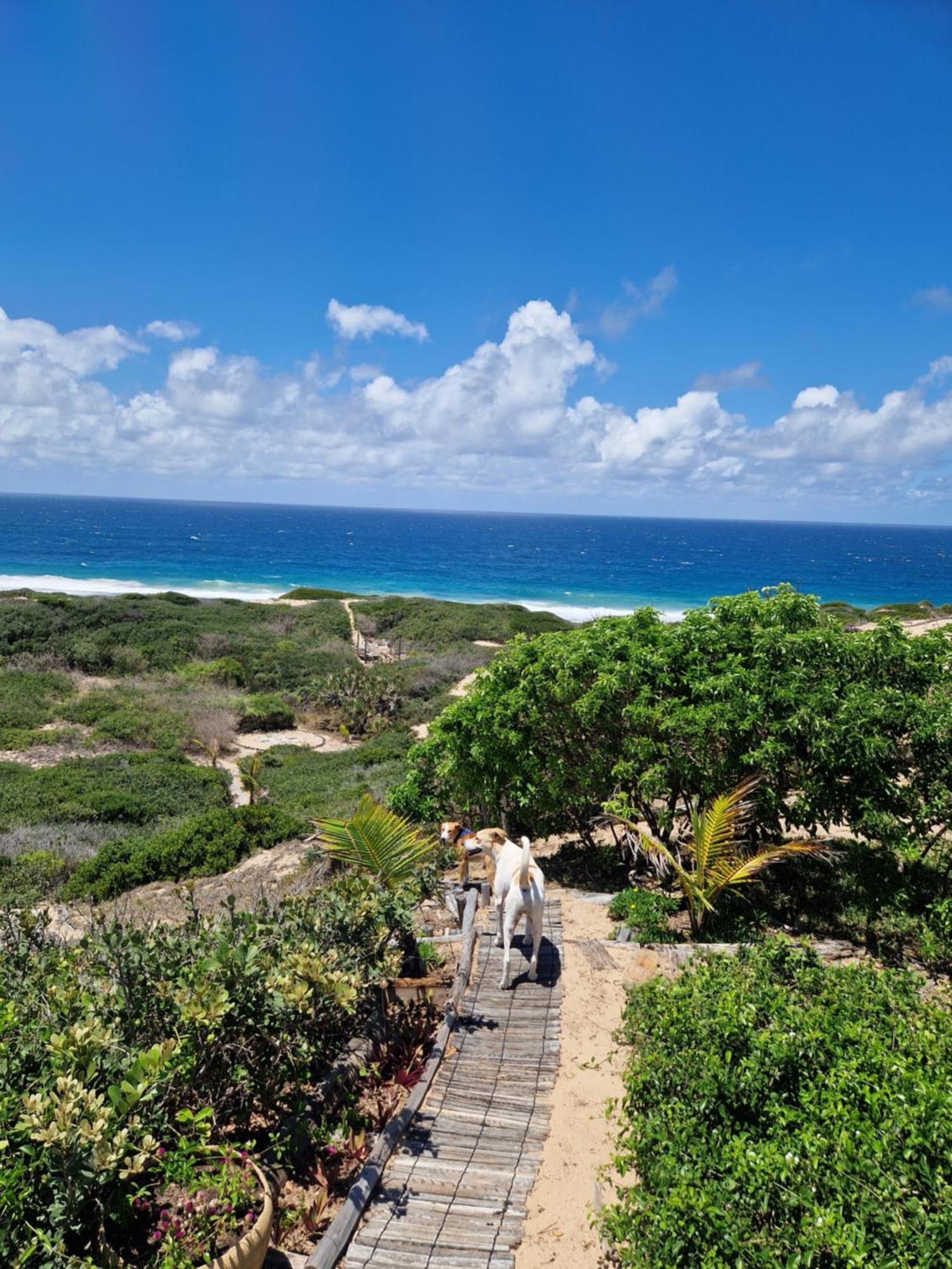 Mar-Me-Quer, Eco Beach Retreat Inhambane Luaran gambar