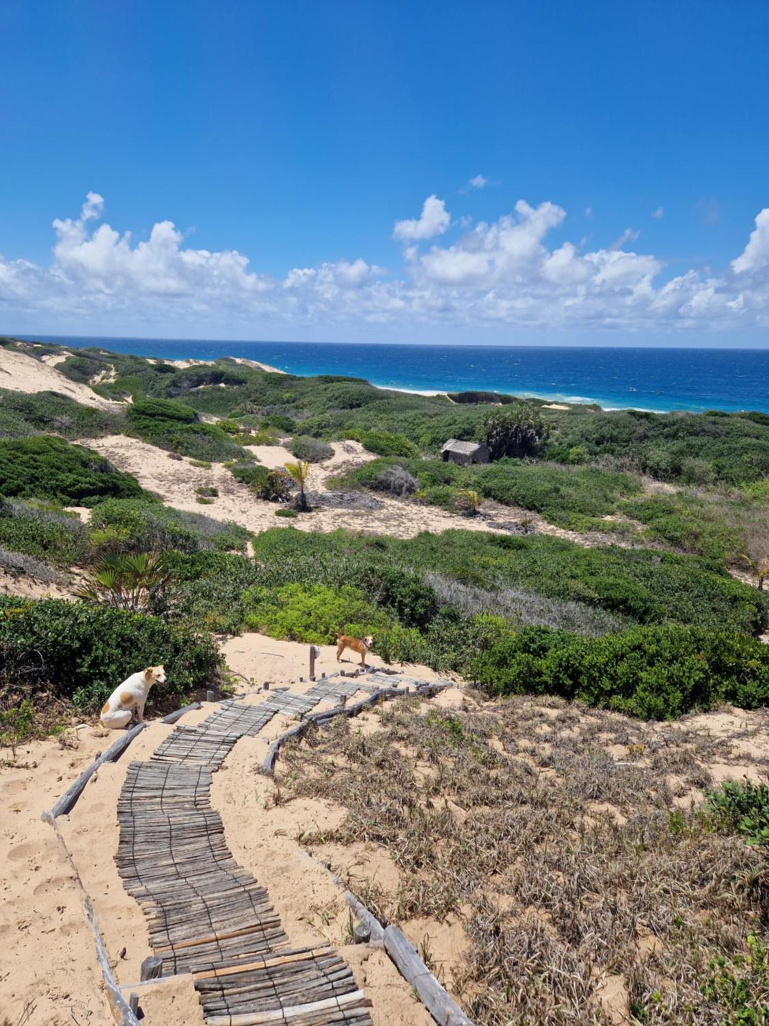 Mar-Me-Quer, Eco Beach Retreat Inhambane Luaran gambar