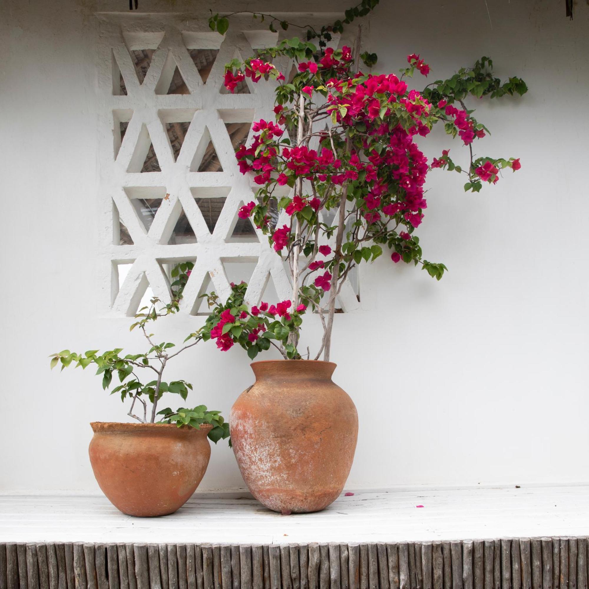 Mar-Me-Quer, Eco Beach Retreat Inhambane Luaran gambar